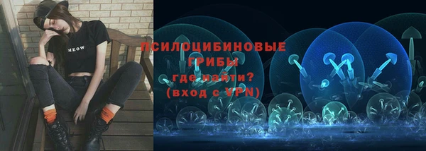 крисы Навашино