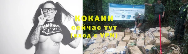 прущие крисы Ростов