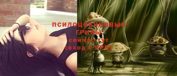 мяу мяу мука Надым